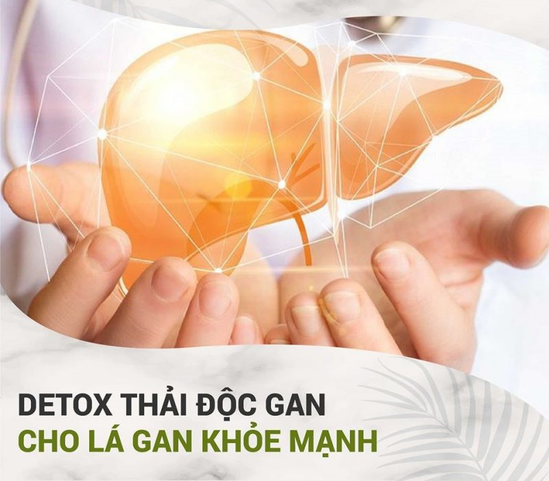 Quá trình thải độc của gan